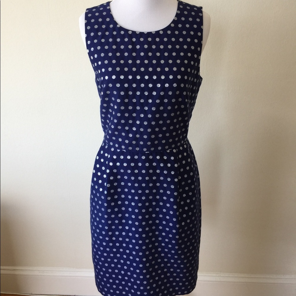 J Crew Royal Blue Silver Sparkle Dot Dress Size 6